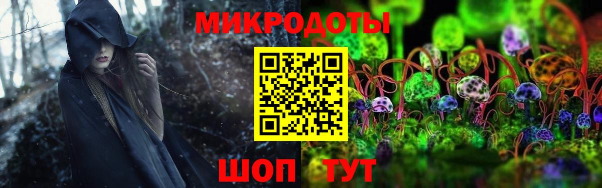 Псилоцибиновые грибы ЛСД  Вход с VPN  закладки  Галлюциногенные грибы прущие грибы  Нальчик 